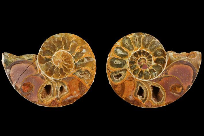 Cut & Polished, Agatized Ammonite Fossil (Pair)- Jurassic #110768